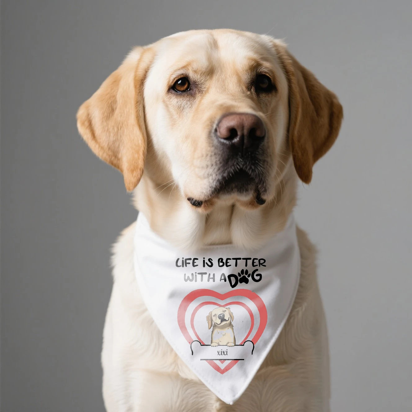 Custom Pet Bandana Collar โ Life is Better with Dogs | Personalized Dog Accessories
