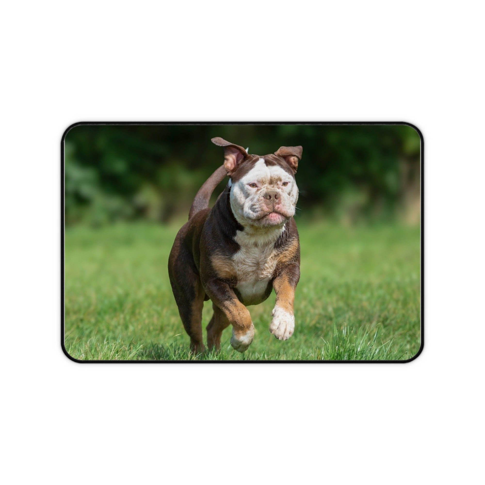 Custom Desk Mat with Uploadable Image Work & Pet PrintToucan - printtoucan