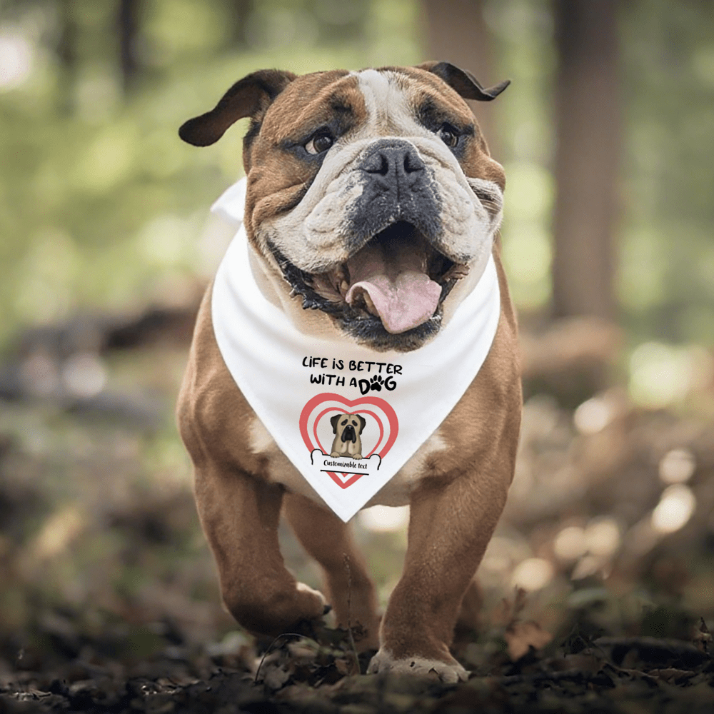 Custom Pet Bandana Collar – Life is Better with Dogs | Personalized Dog Accessories - printtoucan