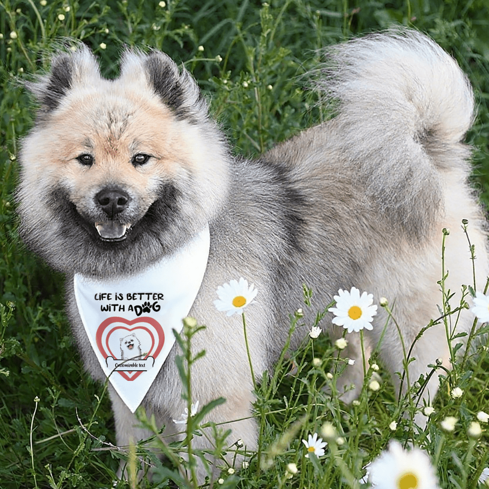 Custom Pet Bandana Collar – Life is Better with Dogs | Personalized Dog Accessories - printtoucan