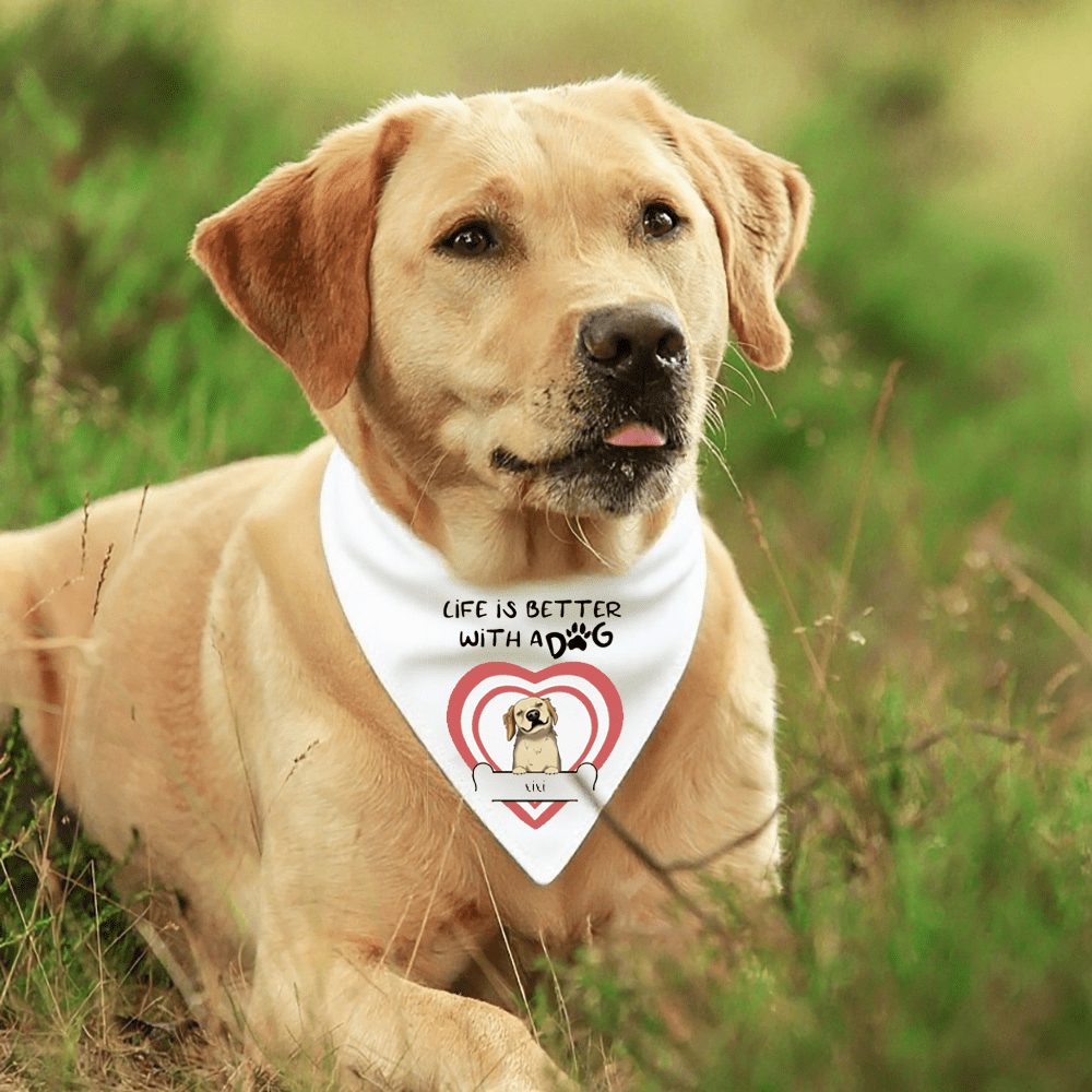 Custom Pet Bandana Collar – Life is Better with Dogs | Personalized Dog Accessories - printtoucan