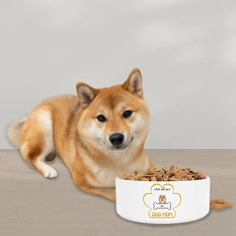 Custom Pet Bowl - Personalized Christmas Gift for Pet Lovers - printtoucan
