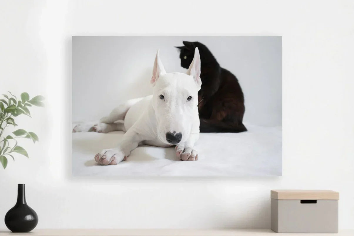 Where can I order a custom dog portrait?