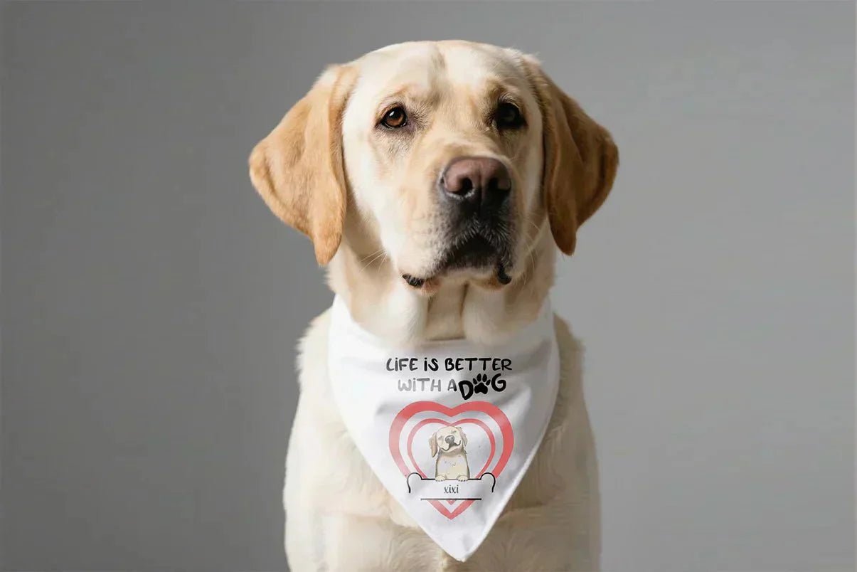 What are some good gifts for dog owners? - printtoucan