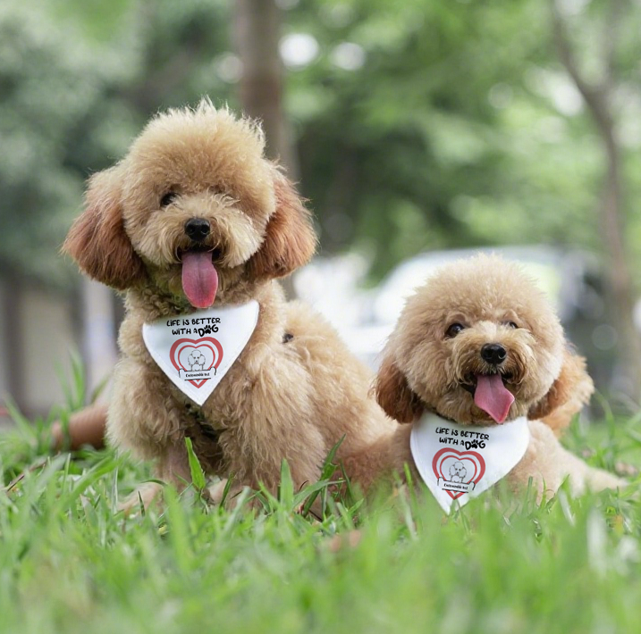 Custom Pet Bandana Collar – Life is Better with Dogs | Personalized Dog Accessories
