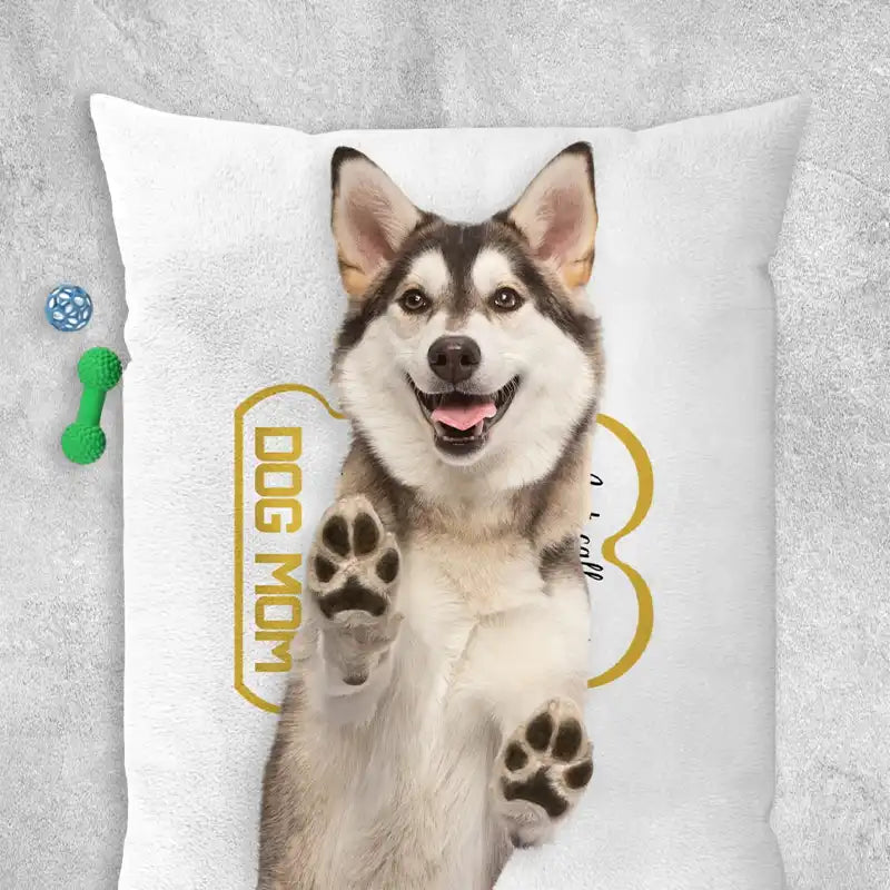 Luxurious custom pet bed featuring soft fabric and cozy design - Personalized with your dog's name for added charm