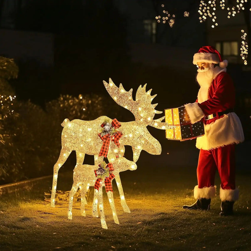 Christmas Deer Decoration 2-Piece Lighted Reindeer Set For Holiday Yard Display Christmas Decoration  PrintToucan