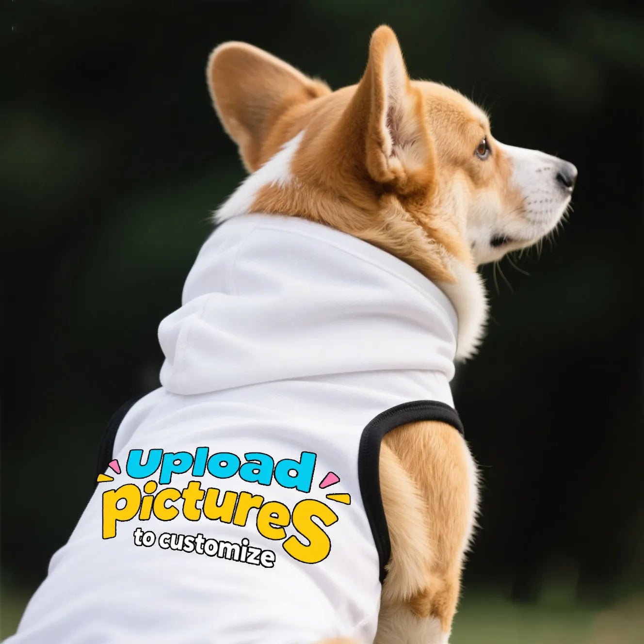 Custom Pet Hoodie – Personalized Hoodie for Your Furry Friend - printtoucan